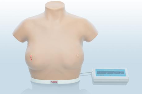 電子乳腺癌觸診、視診訓練模型