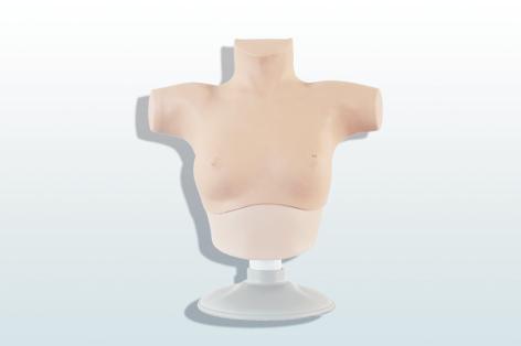 乳腺癌觸診、視診訓練模型